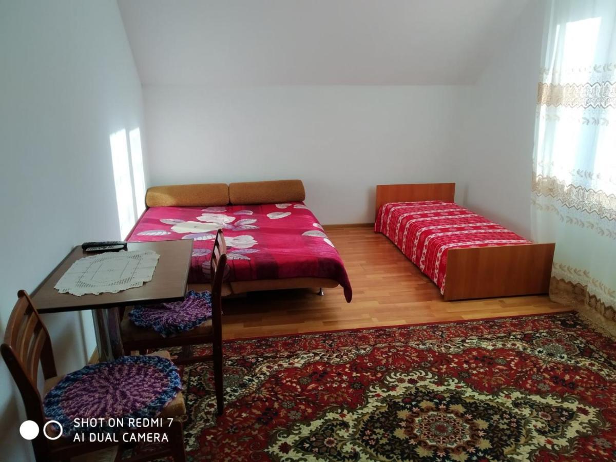 У Дядька Guest House Pilipets Room photo