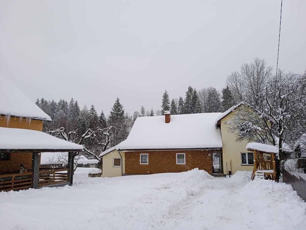 У Дядька Guest House Pilipets Exterior photo